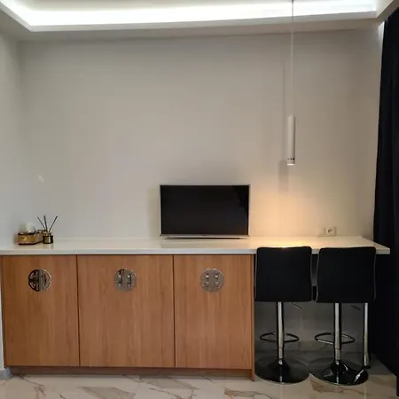 Apartment Plac Narutowicza *