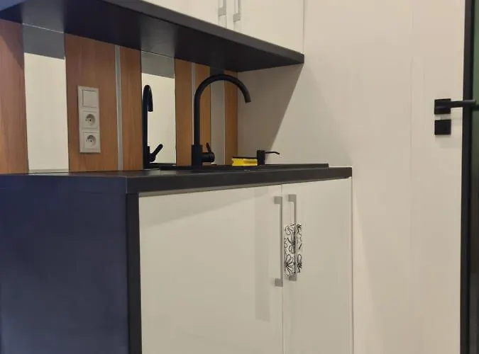 Plac Narutowicza Lejlighed